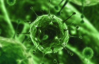 Panda protege los equipos desde la nube