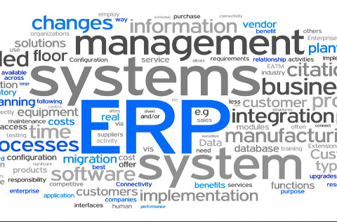 Nube de términos en torno al ERP.