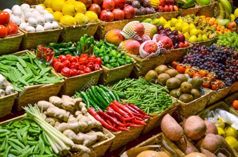 industria agroalimentaria