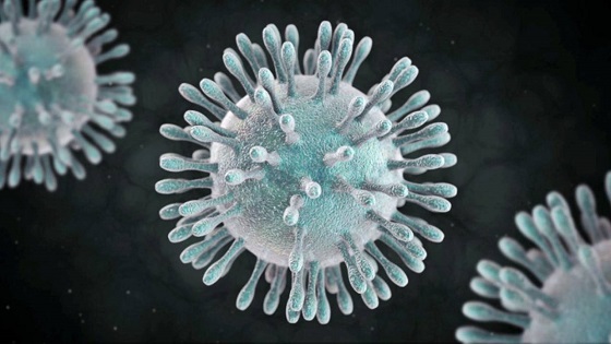 Coronavirus.