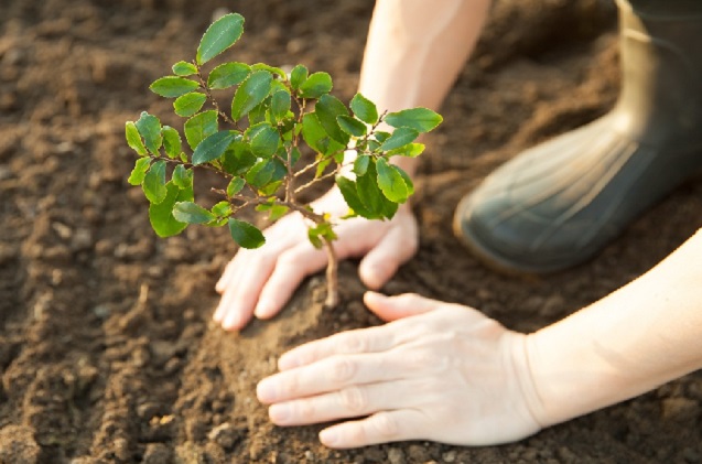 Las pymes tendrán que ser sostenibles sí o sí