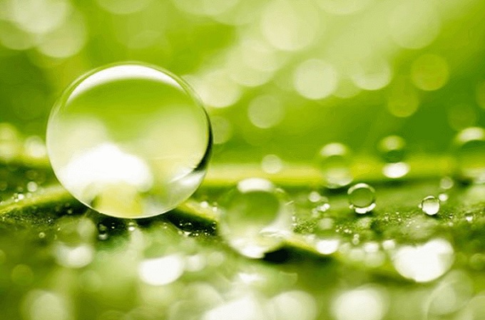 Acer ayuda a partners y clientes a hacer análisis de sostenibilidad