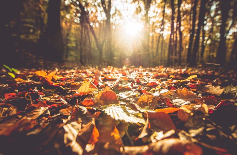 El canal hace previsiones para el otoño